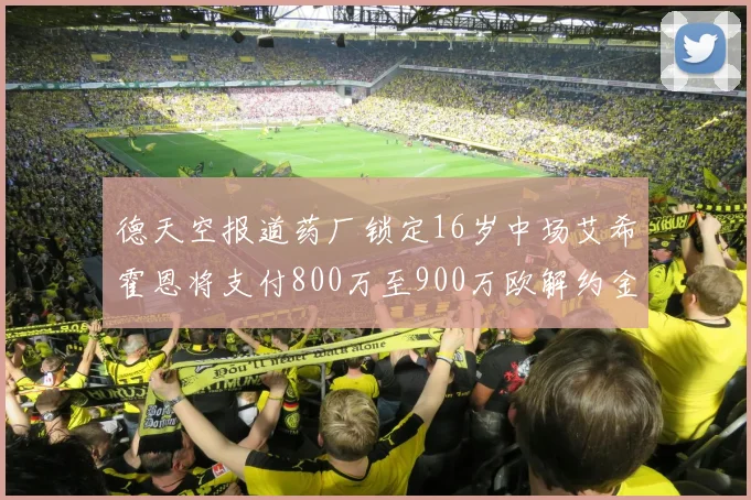德天空报道药厂锁定16岁中场艾希霍恩将支付800万至900万欧解约金