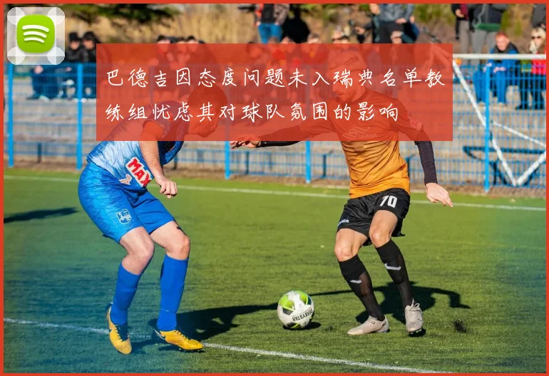 巴德吉因态度问题未入瑞典名单教练组忧虑其对球队氛围的影响
